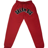 Kids "DREAM BIG" Hoodie and Jogger Set